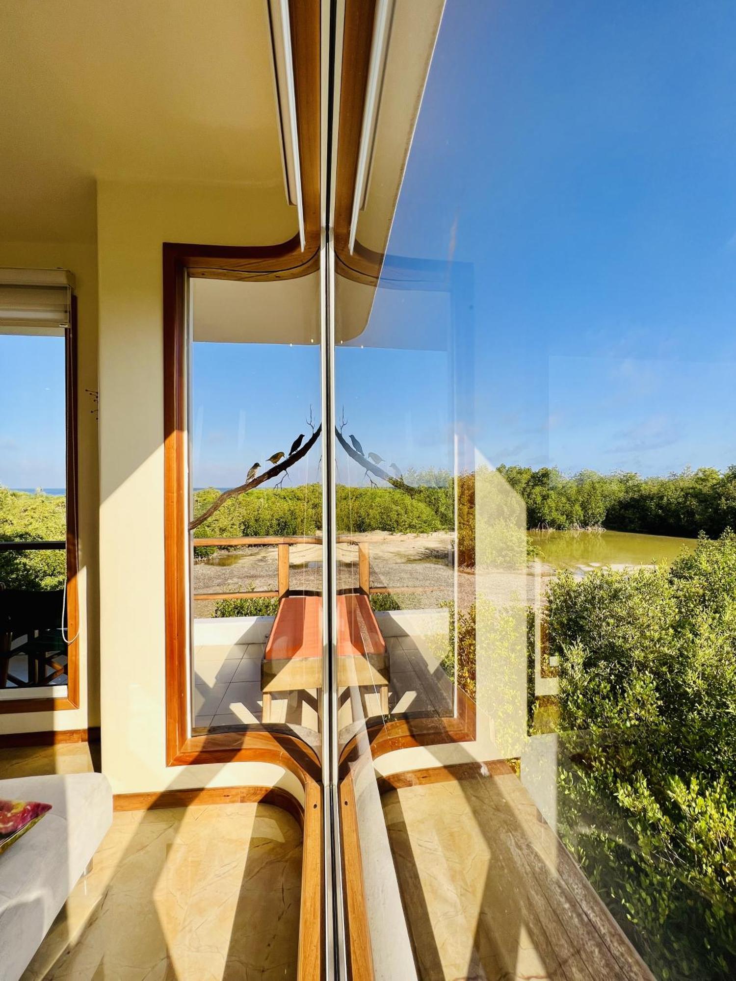 פורטו איורה Blue Heron Galapagos Villa מראה חיצוני תמונה